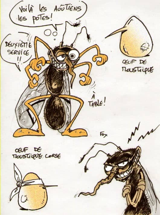 Humour sur les œufs et insectes