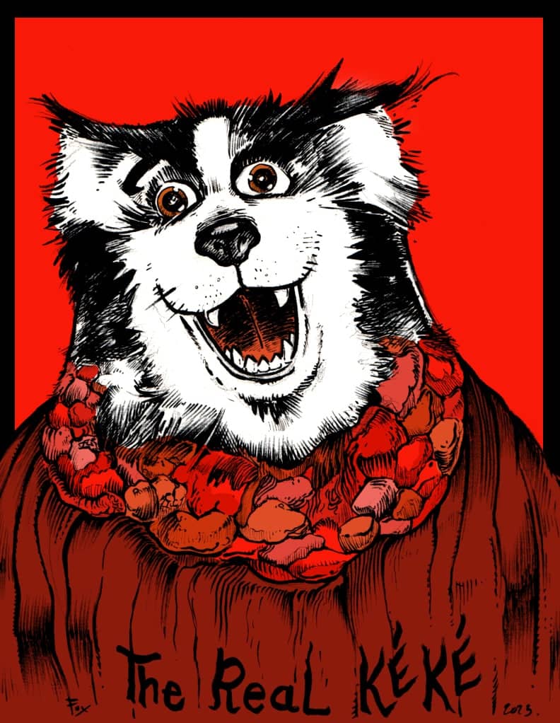 The Real Kéké Animal Crossing