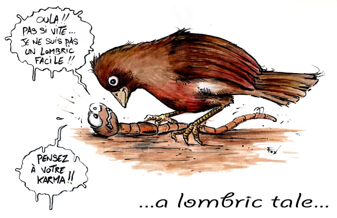 Lapin et ver, histoire sombre