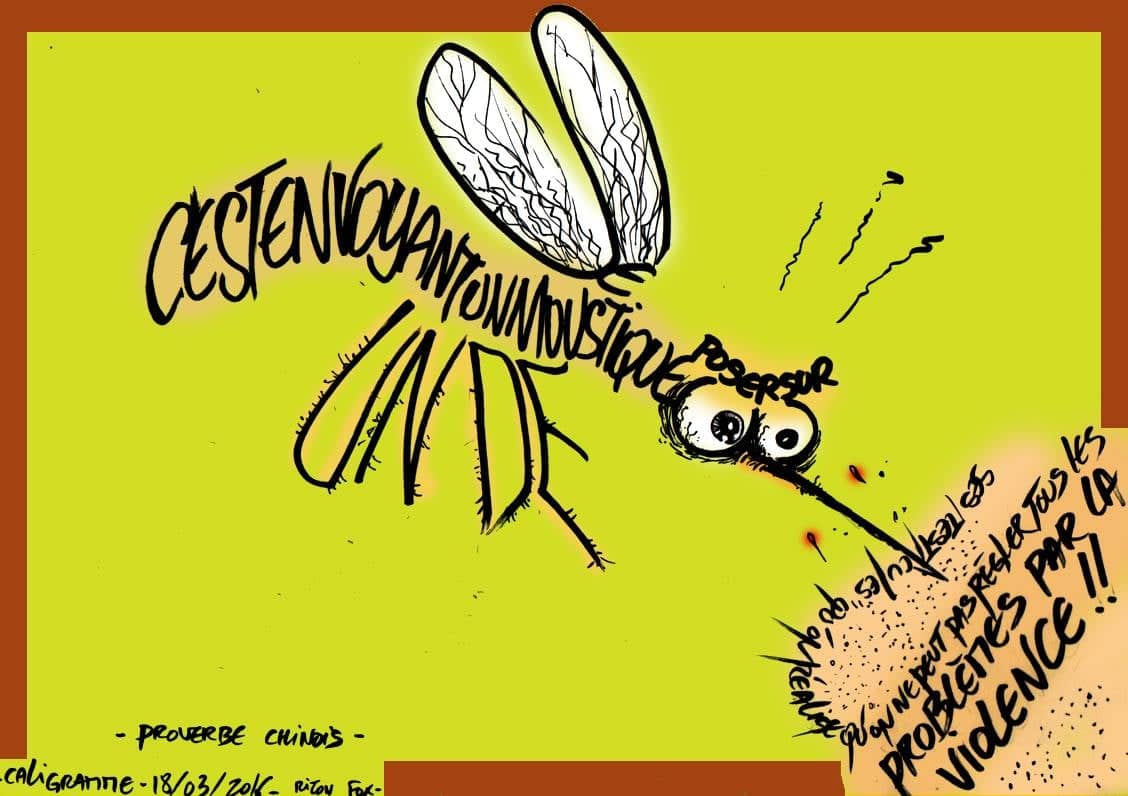 Caligramme mouche violence jeux vidéo