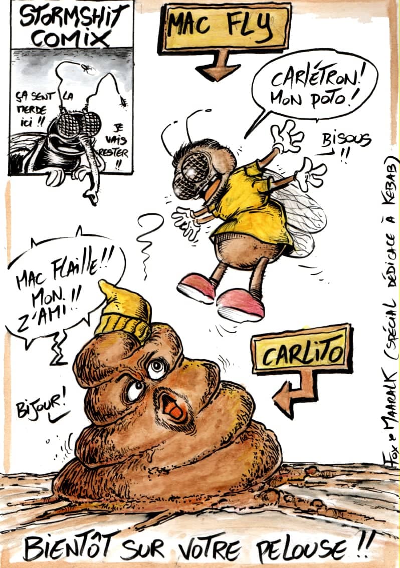 Mac Fly et Carlito délire