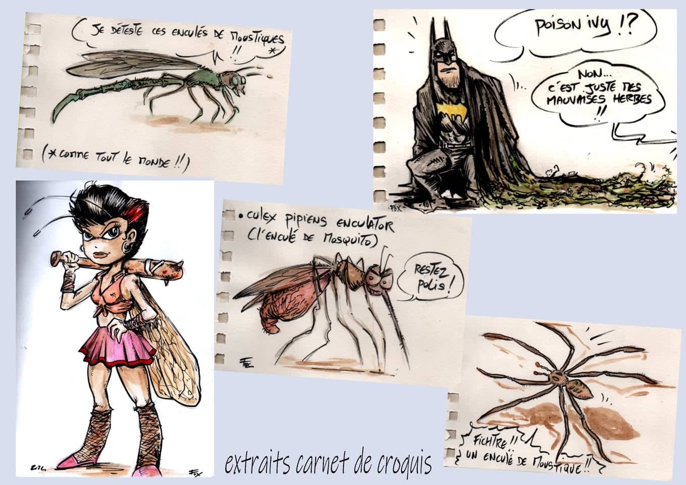 Croquis d'insectes et créatures humour