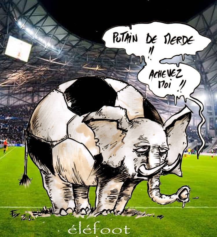 Éléphant ballon de foot