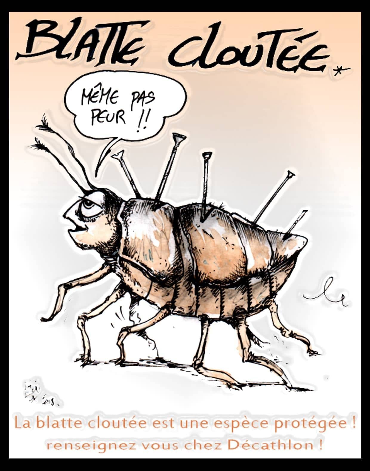 La blatte cloutée thug