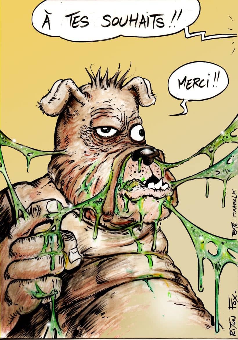 Chien baveux avec du mucus vert