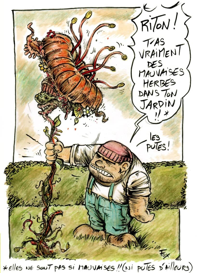 Le jardin extraordinaire de Riton
