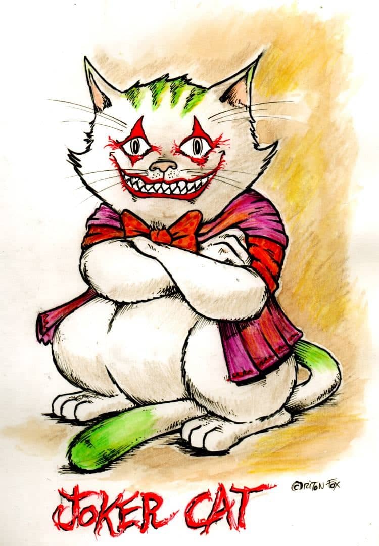 Joker Cat maléfique et déjanté