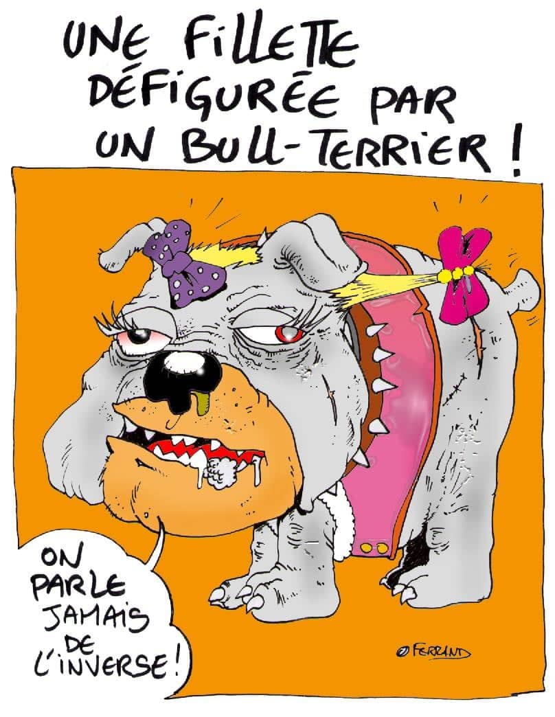 Fillette défigurée par Bull-Terrier