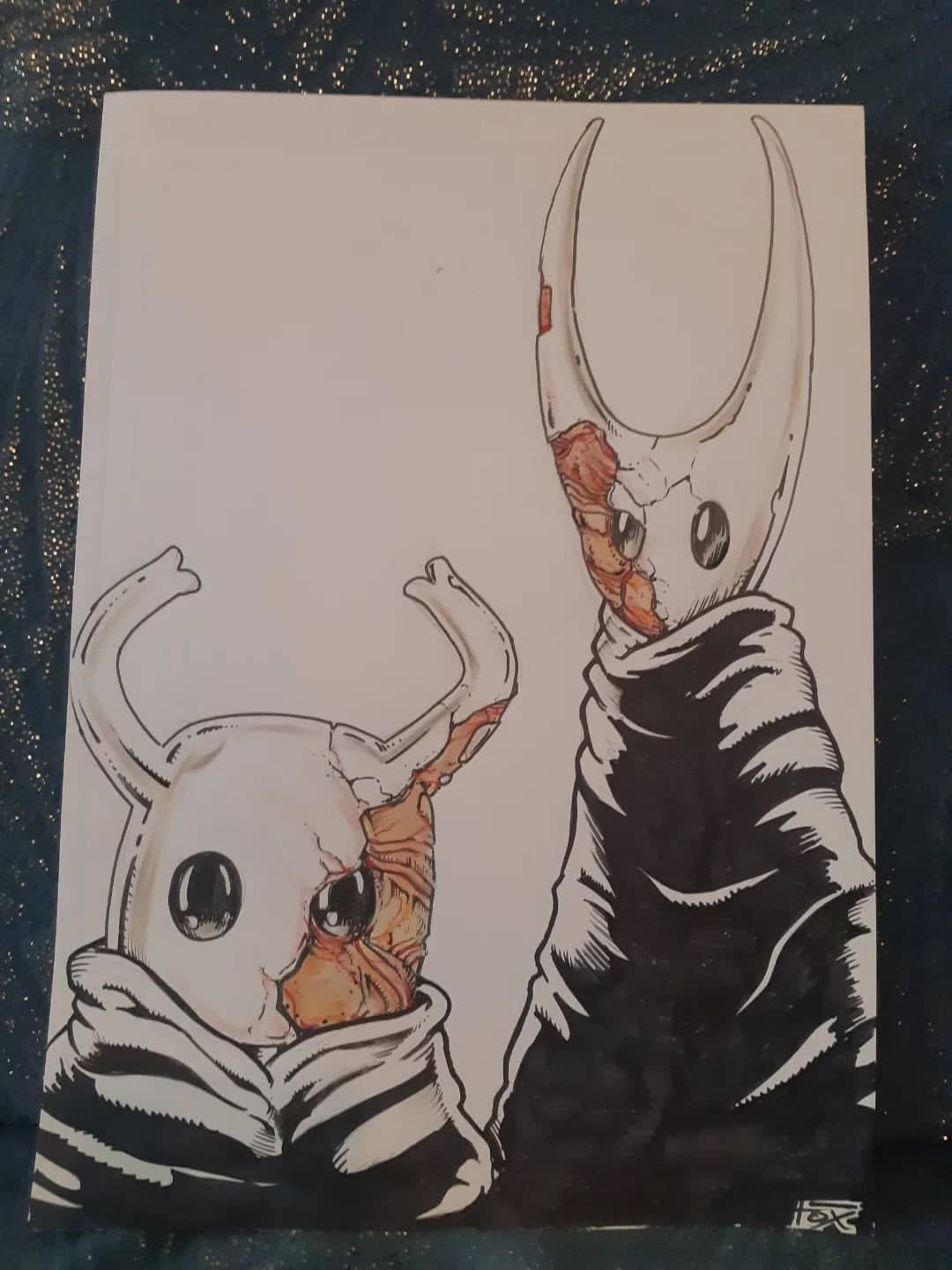 Guerriers du jeu vidéo Hollow Knight