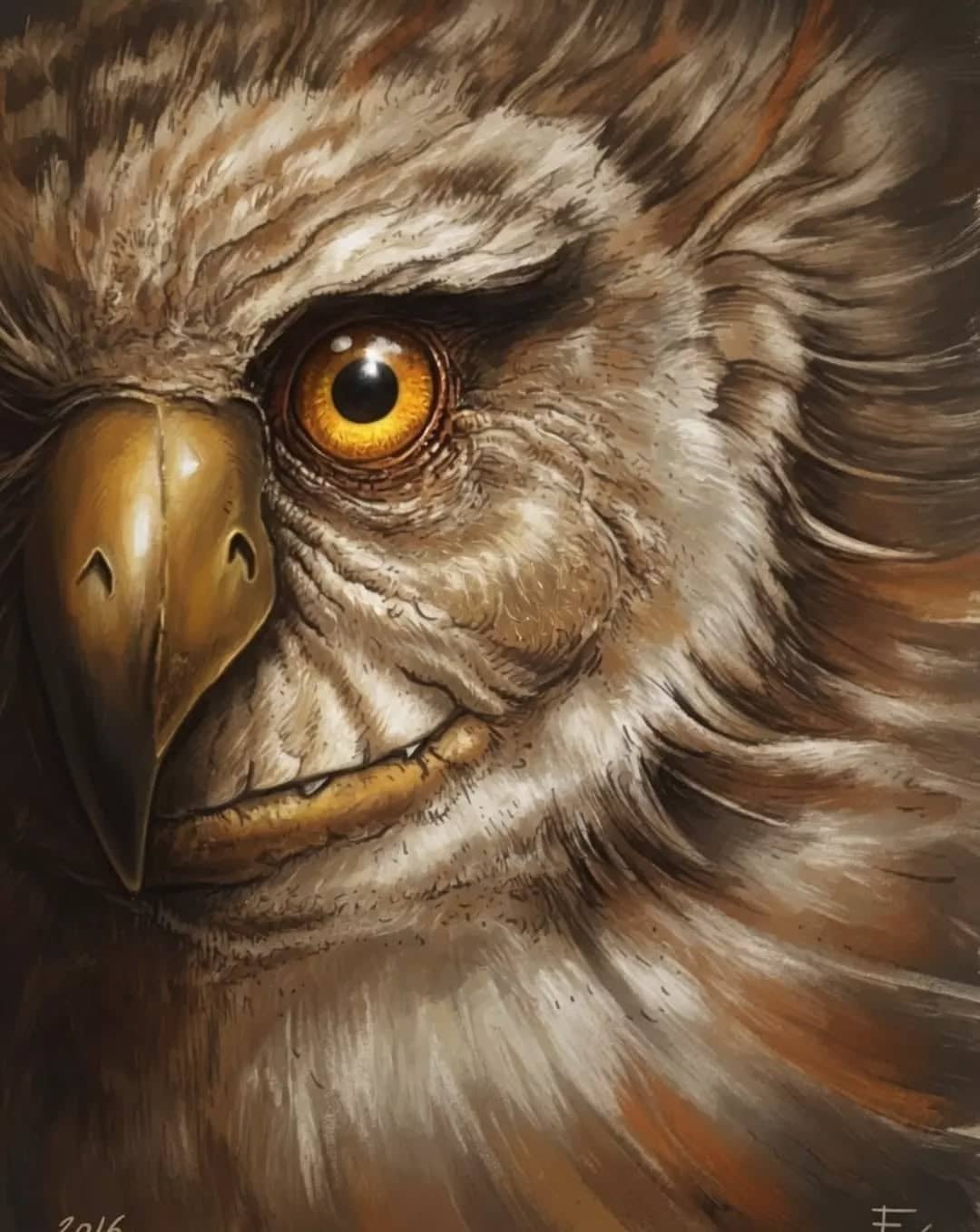 Portrait de hibou aux yeux d'or