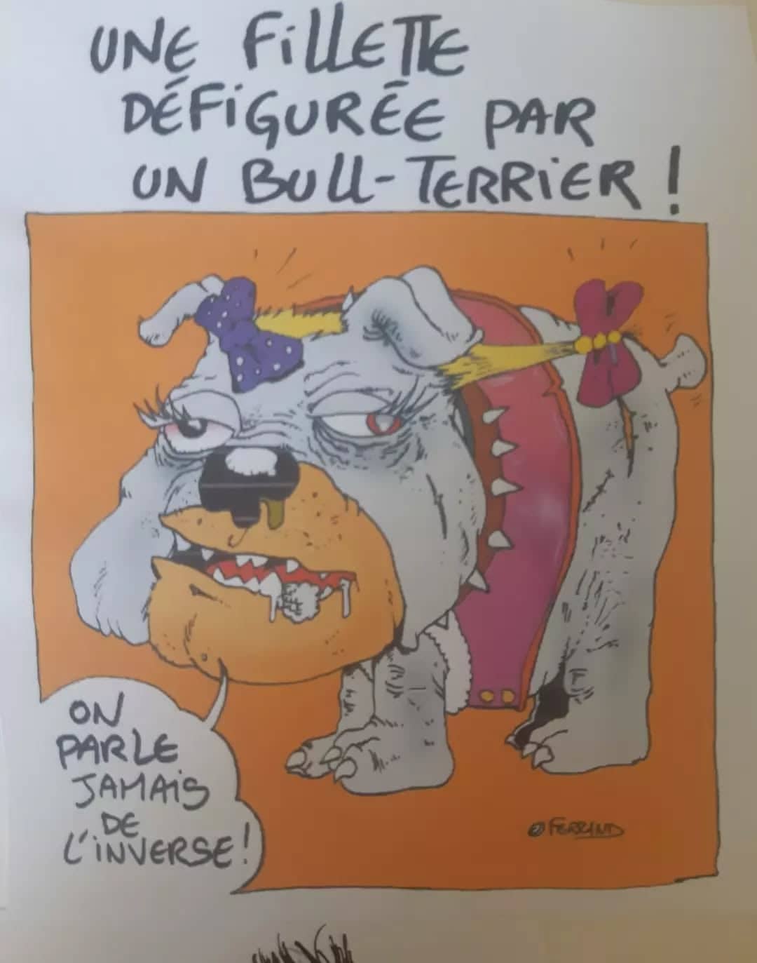 Bulldog défiguré par ses cadeaux