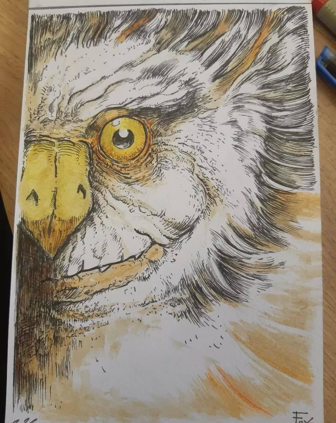 Portrait d'hibou à l'encre