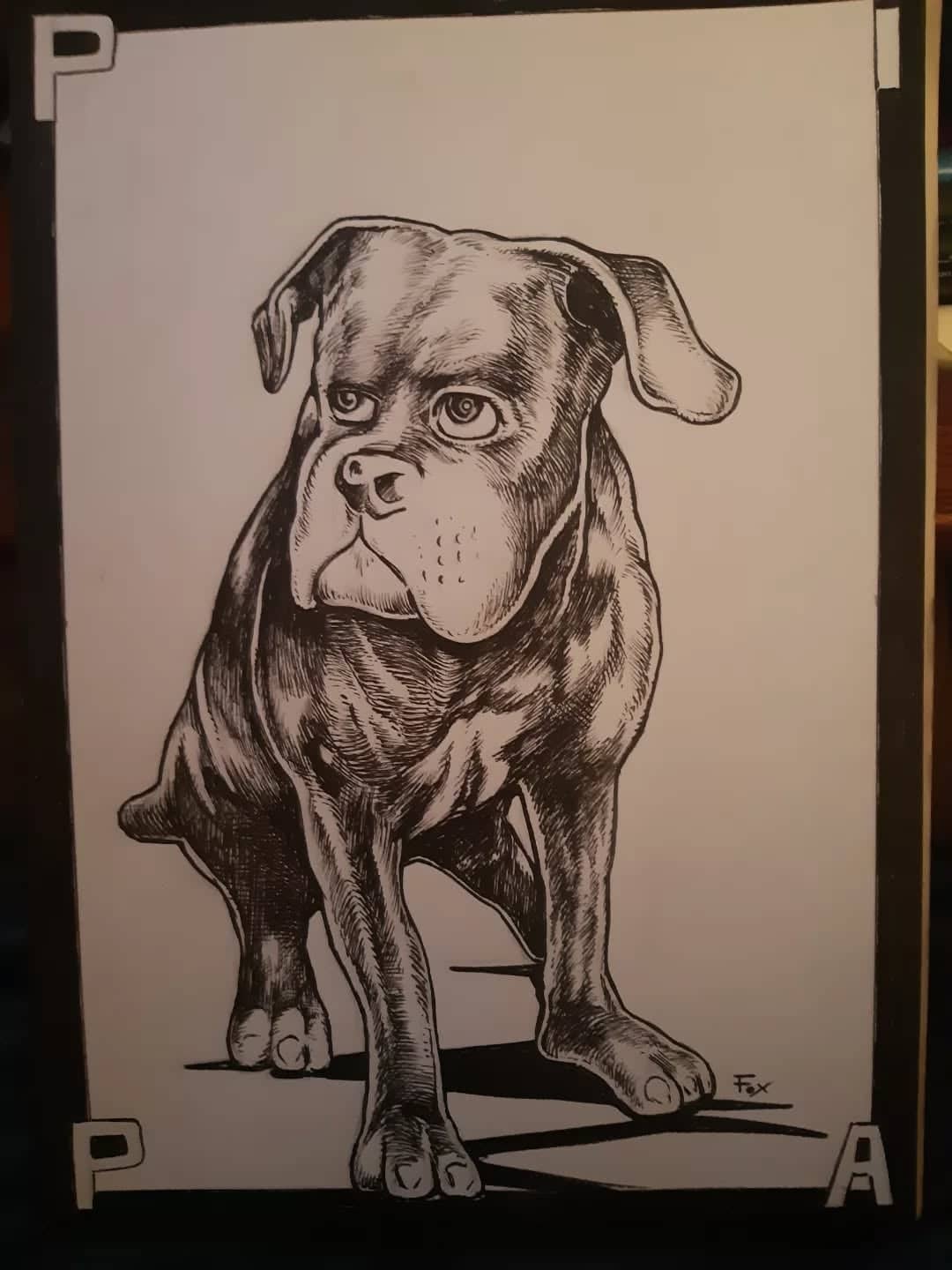 Cane Corso fumant sa pipe